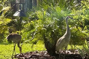 4222 Glade Wood Loop, New Port Richey, FL 34655 - Photo 93