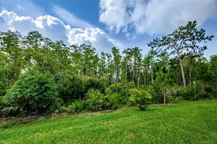 4222 Glade Wood Loop, New Port Richey, FL 34655 - Photo 51