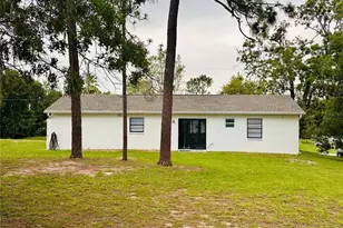 13186 Thrush St, Spring Hill, FL 34609 - Photo 47