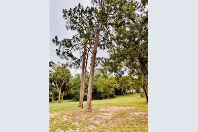 13186 Thrush Street, Spring Hill, FL 34609 - Photo 51