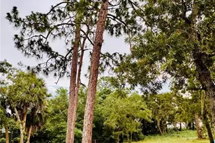 13186 Thrush St, Spring Hill, FL 34609 - Photo 51