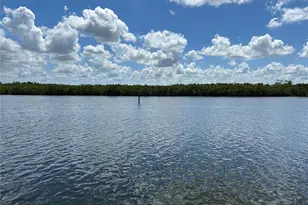 809 Bahia Del Sol Dr, Ruskin, FL 33570 - Photo 71