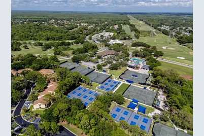 335 Palmdale Drive, Oldsmar, FL 34677 - Photo 73