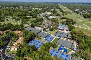 335 Palmdale Dr, Oldsmar, FL 34677 - Photo 73