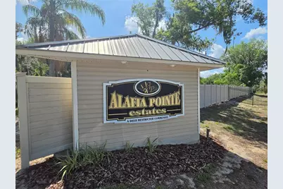 8331 Alafia Pointe Drive, Riverview, FL 33578 - Photo 25