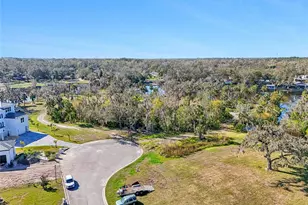 8331 Alafia Pointe Dr, Riverview, FL 33578 - Photo 1