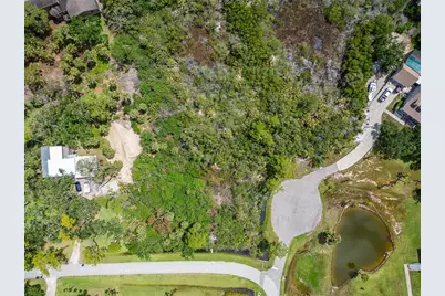 Strathmore Avenue, Oldsmar, FL 34677 - Photo 11