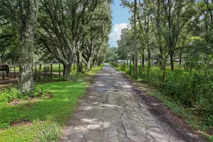 5321 Bruton Rd, Plant City, FL 33565 - Photo 27