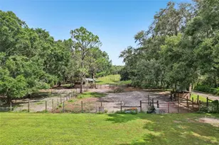 5321 Bruton Rd, Plant City, FL 33565 - Photo 33