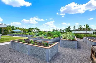 6019 Shorebird Br, Land O Lakes, FL 34638 - Photo 41