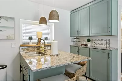 235 10th Avenue NE, Saint Petersburg, FL 33701 - Photo 43