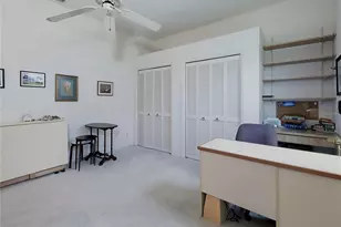 2406 Dana Dr, Safety Harbor, FL 34695 - Photo 43