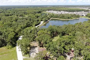 1753 Ranchette Rd, Wesley Chapel, FL 33543 - Photo 7