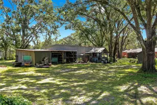 1753 Ranchette Rd, Wesley Chapel, FL 33543 - Photo 13