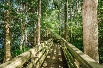 1540 Big Bass Drive, Tarpon Springs, FL 34689 - Photo 41