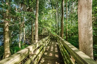 1540 Big Bass Dr, Tarpon Springs, FL 34689 - Photo 41