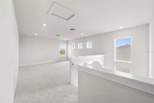 8612 Ivy Stark Blvd, Wesley Chapel, FL 33545 - Photo 21