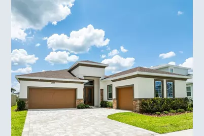 8749 Drummer Plank Drive, Wesley Chapel, FL 33545 - Photo 1