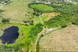 2440 S Wallace Rd, Bartow, FL 33830 - Photo 17