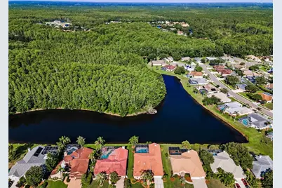 2691 Saddlewood Lane, Palm Harbor, FL 34685 - Photo 3