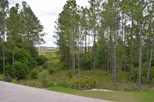 35311 Big Hawk Dr, Zephyrhills, FL 33541 - Photo 19