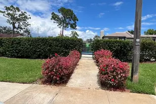 140 Nina Way, Oldsmar, FL 34677 - Photo 61