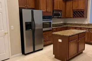 10623 Pearl Berry Loop, Land O Lakes, FL 34638 - Photo 5