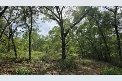 4771 N Redwood Avenue, Hernando, FL 34442 - Photo 37