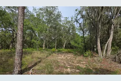 4771 N Redwood Avenue, Hernando, FL 34442 - Photo 11