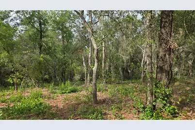 4811 N Redwood Avenue, Hernando, FL 34442 - Photo 15