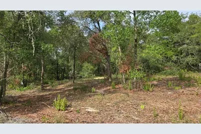 4811 N Redwood Avenue, Hernando, FL 34442 - Photo 13