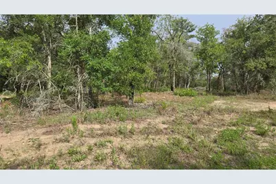 4811 N Redwood Avenue, Hernando, FL 34442 - Photo 11