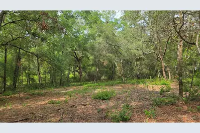 4811 N Redwood Avenue, Hernando, FL 34442 - Photo 19