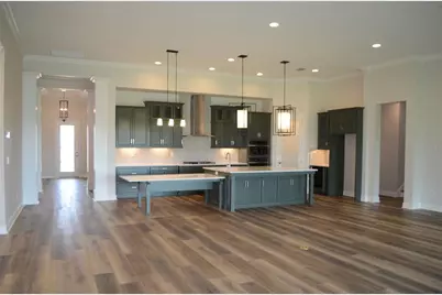 35436 Big Hawk Drive, Zephyrhills, FL 33541 - Photo 3