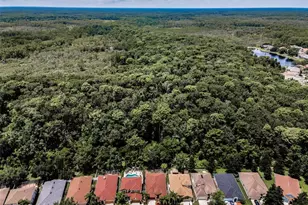 15762 Cedar Elm Terrace, Land O Lakes, FL 34638 - Photo 31