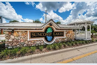 15762 Cedar Elm Terrace, Land O Lakes, FL 34638 - Photo 79