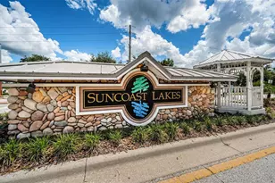 15762 Cedar Elm Terrace, Land O Lakes, FL 34638 - Photo 79