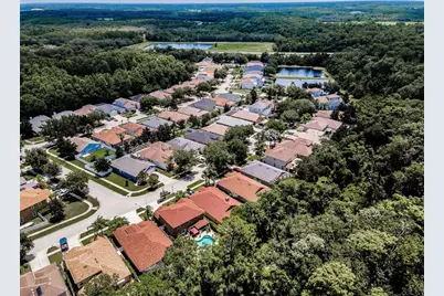 15762 Cedar Elm Terrace, Land O Lakes, FL 34638 - Photo 53