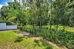 15762 Cedar Elm Terrace, Land O Lakes, FL 34638 - Photo 49