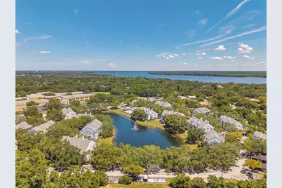 3301 Haviland Ct #301, Palm Harbor, FL 34684 - Photo 37