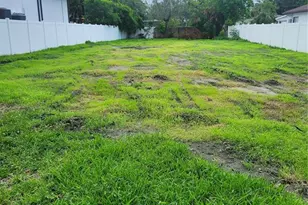 507 Danube Ave, Tampa, FL 33606 - Photo 3