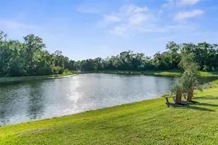 11597 Weaver Hollow Rd, New Port Richey, FL 34654 - Photo 35