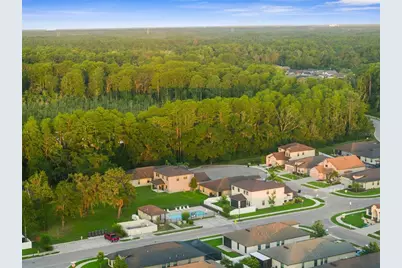 11597 Weaver Hollow Road, New Port Richey, FL 34654 - Photo 41