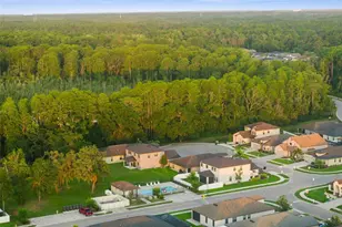 11597 Weaver Hollow Rd, New Port Richey, FL 34654 - Photo 41