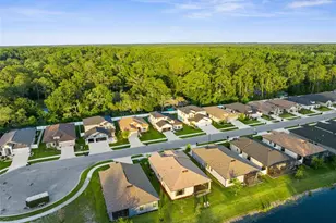 11597 Weaver Hollow Rd, New Port Richey, FL 34654 - Photo 39