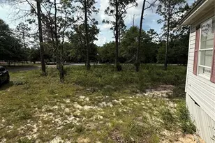 4330 Leisure Lakes Dr, Chipley, FL 32428 - Photo 5