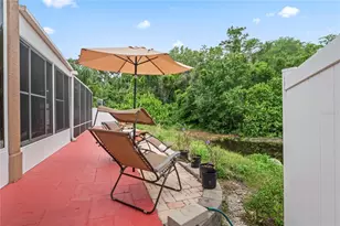 277 Wood Dove Ave, Tarpon Springs, FL 34689 - Photo 59