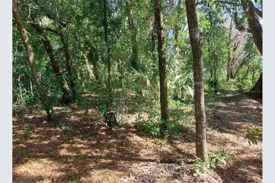 Waldo, Dade City, FL 33525 - Photo 9