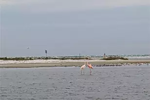 340 Pinellas Bayway S, Saint Petersburg, FL 33715 - Photo 31