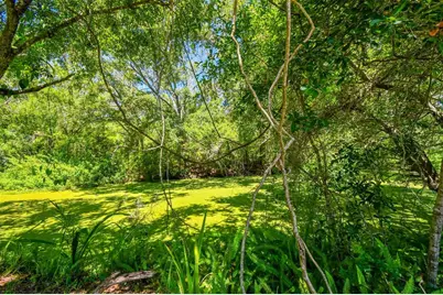 16138 Manorwood Circle, Tampa, FL 33624 - Photo 35